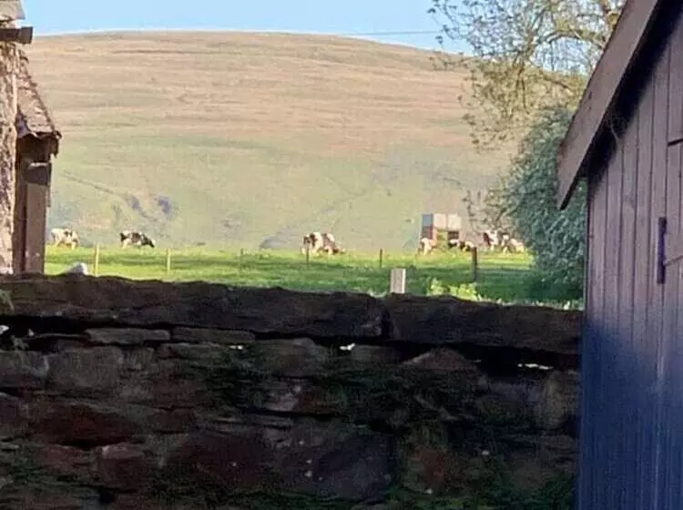 レジデンス Stunning 4 Bed Grade Ii House In The Lake District