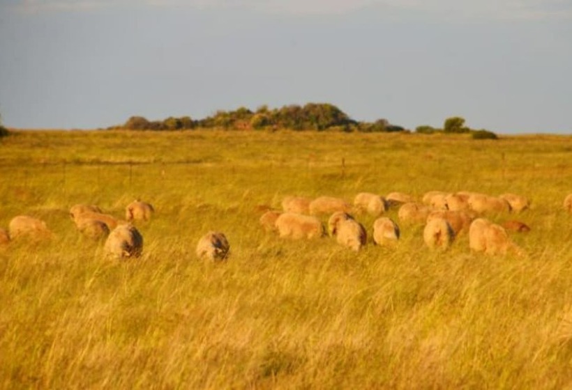 בית מלון כפרי De Oude Kraal Country Estate And Spa