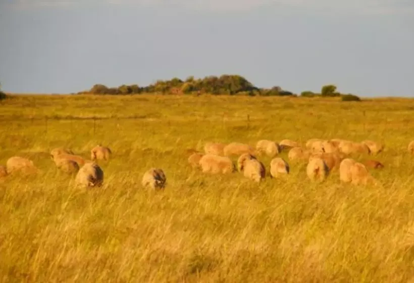 ホテル De Oude Kraal Country Estate And Spa