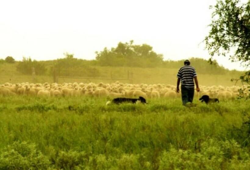 בית מלון כפרי De Oude Kraal Country Estate And Spa