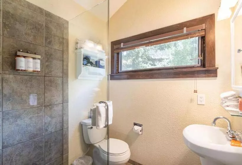 Manitou Lodge 5 Hotel Room By Alpine Lodging Telluride
