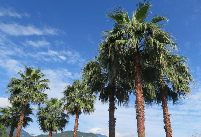 تختخواب و صبحانه Amy+ Bnb