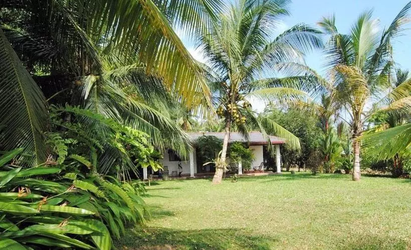 ホテル Mangrove Villa   Yoga & Ayurveda