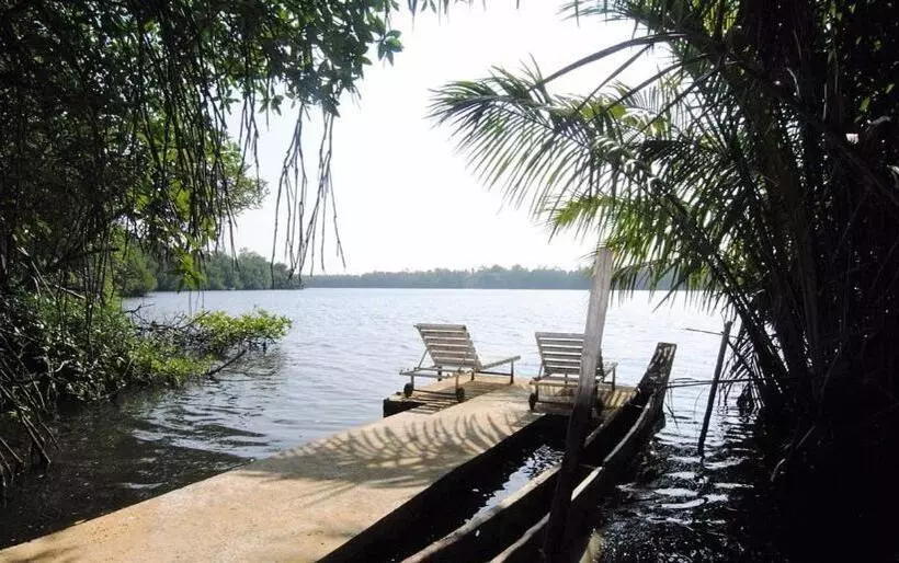 ホテル Mangrove Villa   Yoga & Ayurveda
