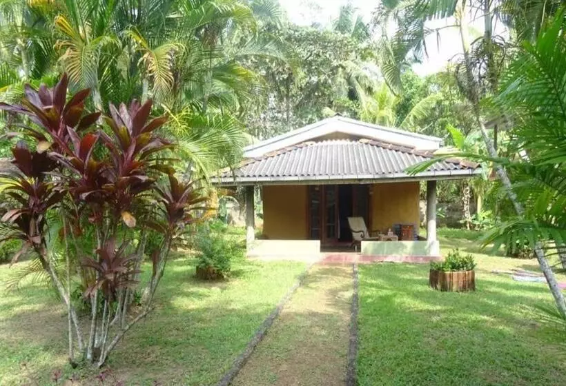ホテル Mangrove Villa   Yoga & Ayurveda
