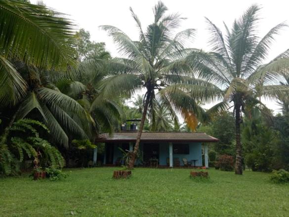 فندق Mangrove Villa   Yoga & Ayurveda