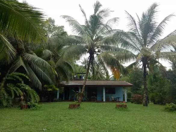 ホテル Mangrove Villa   Yoga & Ayurveda