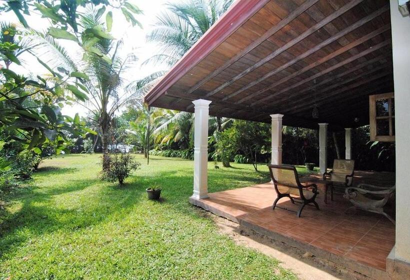 فندق Mangrove Villa   Yoga & Ayurveda