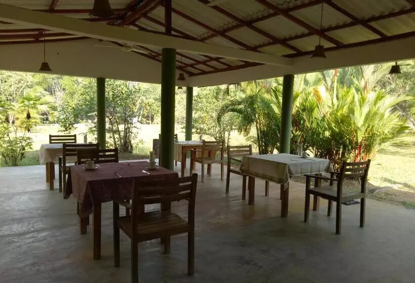 ホテル Mangrove Villa   Yoga & Ayurveda