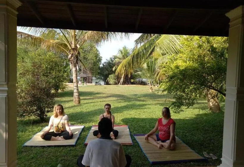 ホテル Mangrove Villa   Yoga & Ayurveda