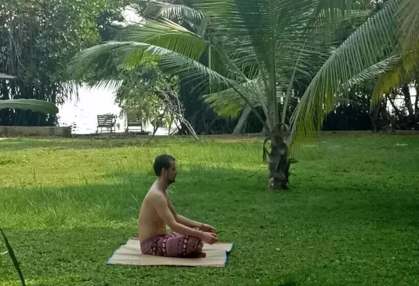 ホテル Mangrove Villa   Yoga & Ayurveda