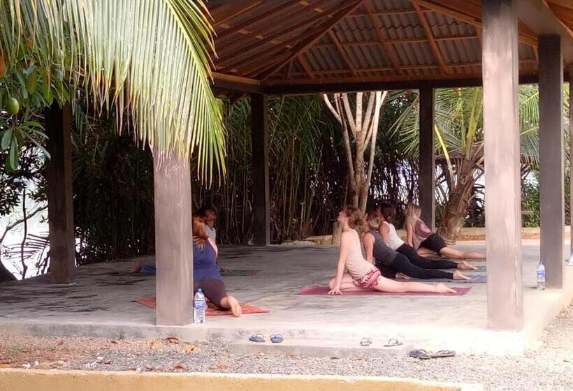 فندق Mangrove Villa   Yoga & Ayurveda