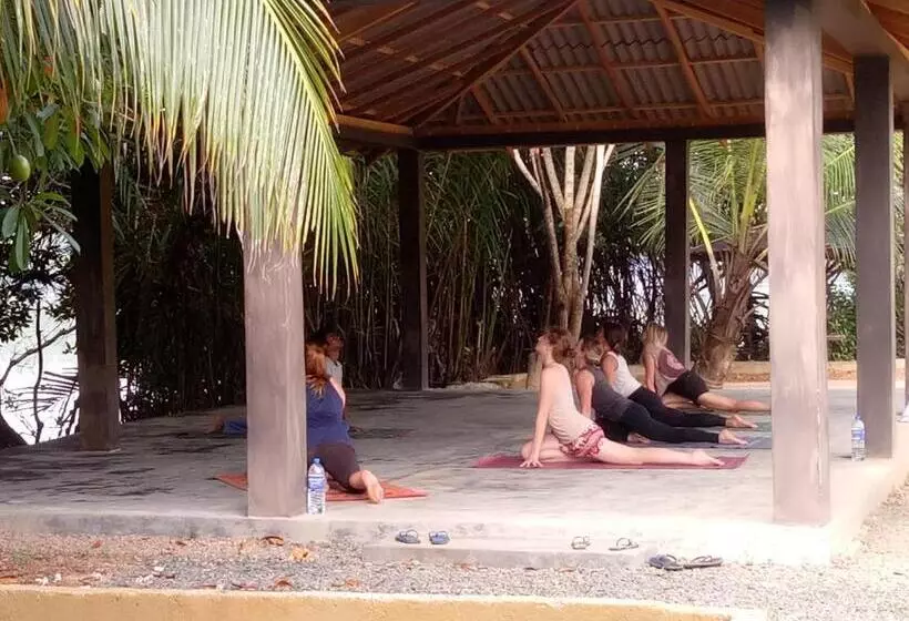 ホテル Mangrove Villa   Yoga & Ayurveda