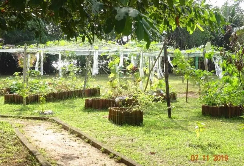ホテル Mangrove Villa   Yoga & Ayurveda