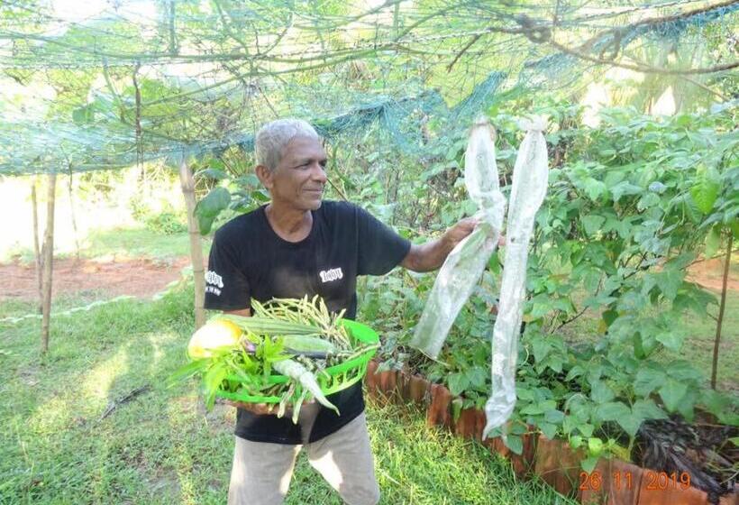 فندق Mangrove Villa   Yoga & Ayurveda