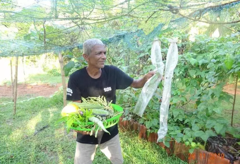 ホテル Mangrove Villa   Yoga & Ayurveda