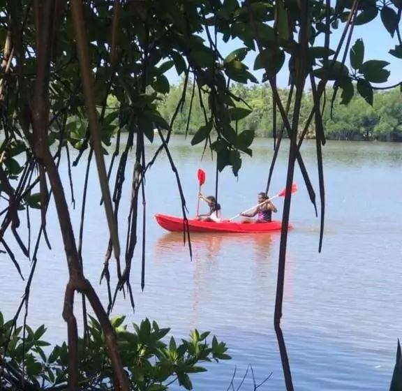 ホテル Mangrove Villa   Yoga & Ayurveda