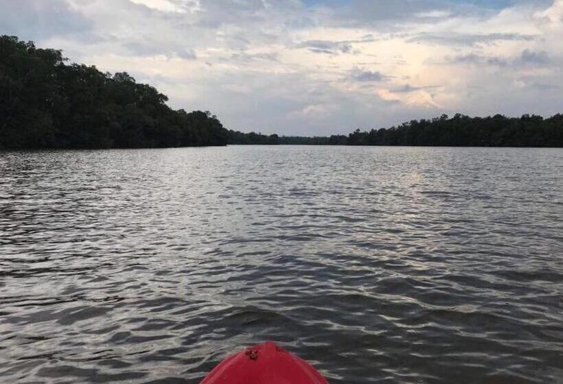 فندق Mangrove Villa   Yoga & Ayurveda