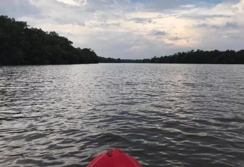 ホテル Mangrove Villa   Yoga & Ayurveda