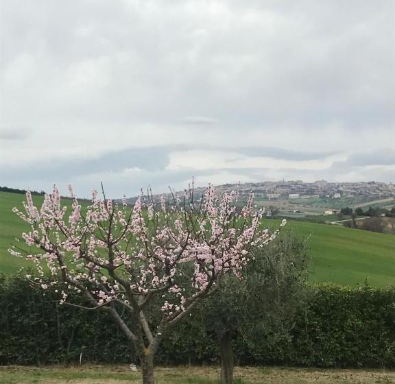 B&b Casa Fanny Riviera Del Conero