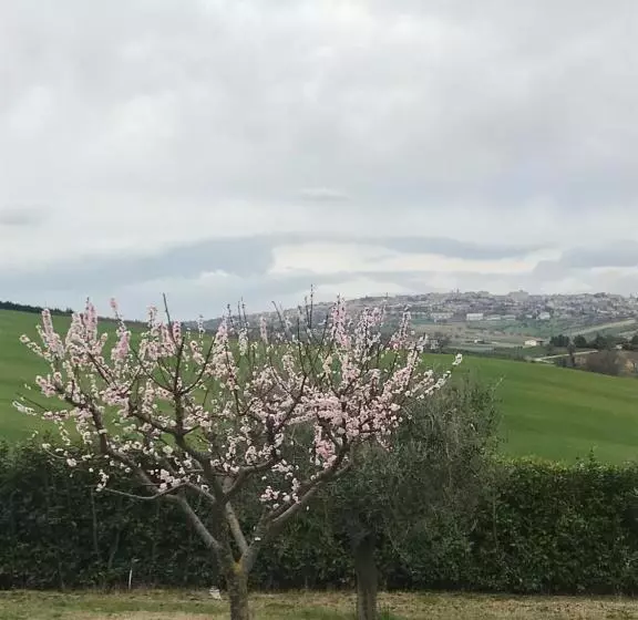 B&b Casa Fanny Riviera Del Conero