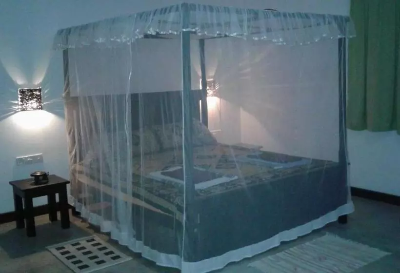 Aamiaismajoitus (B&B) Chill Cabanas
