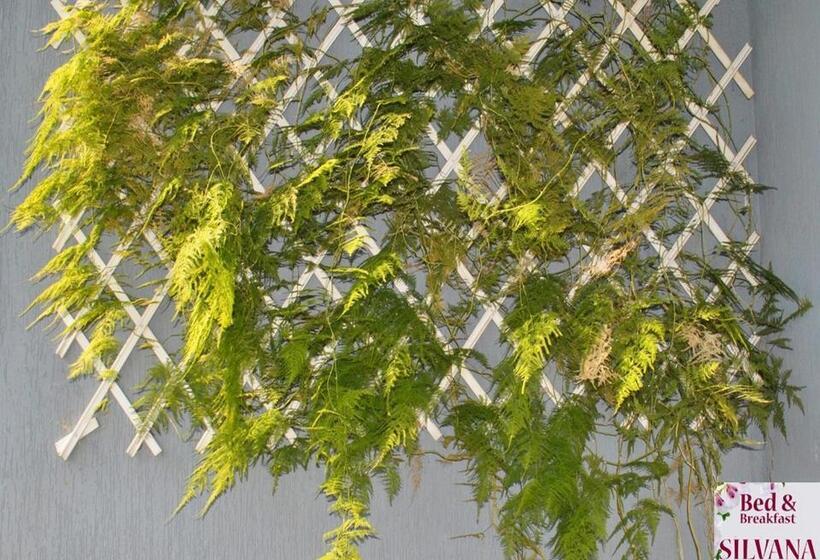 Bed And Breakfast Silvana