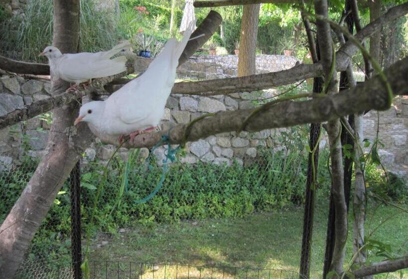 בית מלון כפרי Can Serola