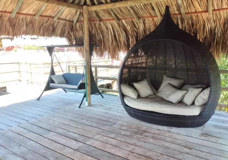 ホテル Isla Lizamar