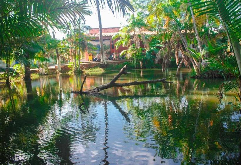 ホテル Pousada Chico Santos Barreirinhas Ma