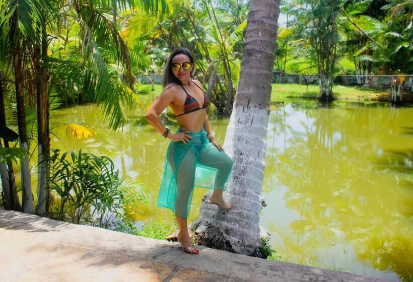 ホテル Pousada Chico Santos Barreirinhas Ma