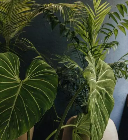 ホテル Sui Boutique