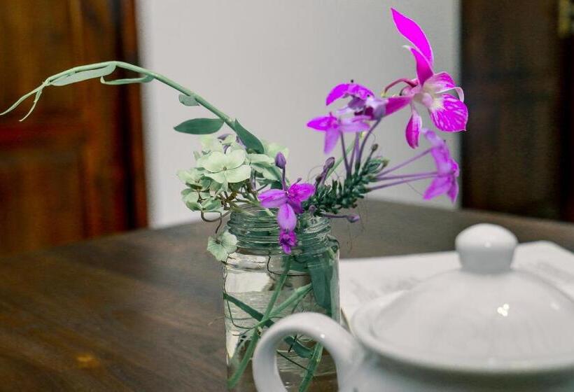 Bed & Breakfast Beach Breeze Weligama