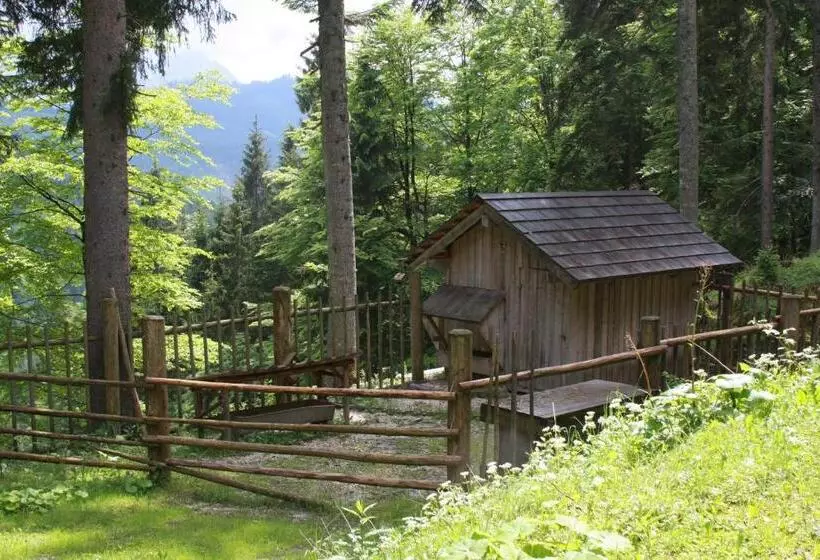 تختخواب و صبحانه Haus Salzkammergut