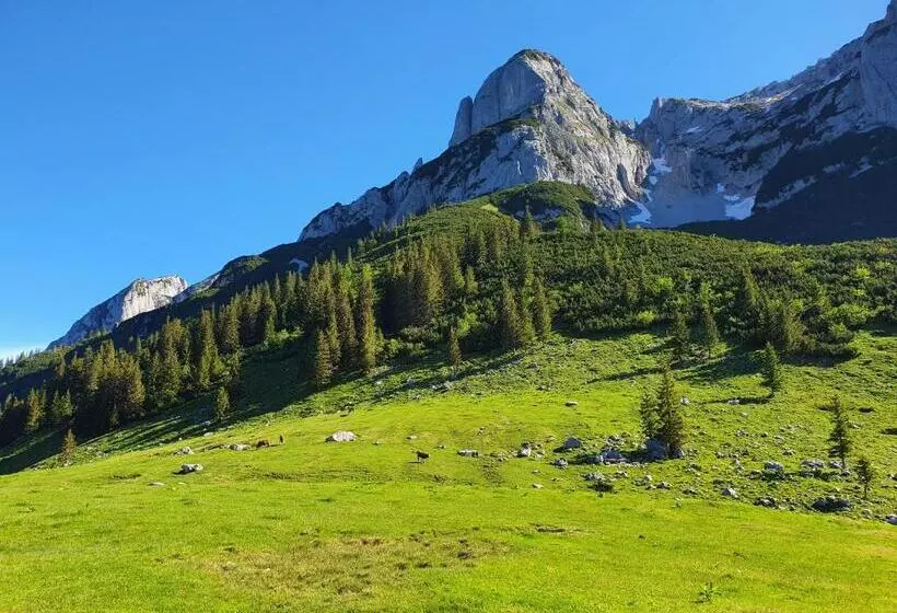 تختخواب و صبحانه Haus Salzkammergut