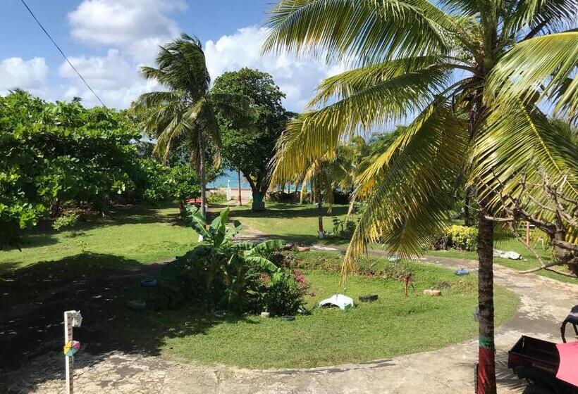 تختخواب و صبحانه Posada Nativa Trinsan Campestre