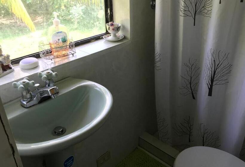 تختخواب و صبحانه Posada Nativa Trinsan Campestre