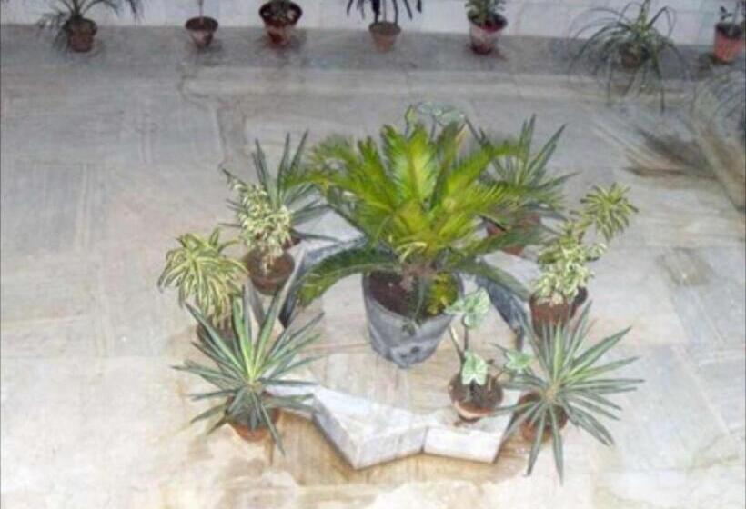 تختخواب و صبحانه Raj