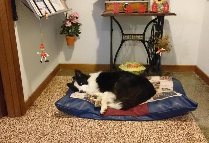 Hôtel Albergo Le Rose