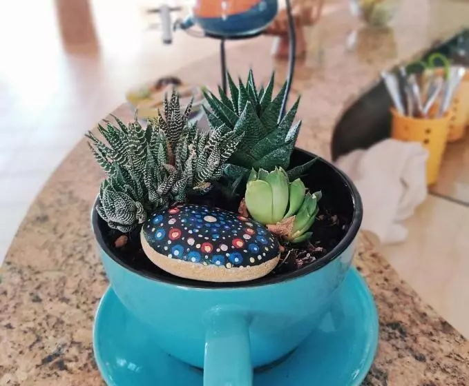 Hotelli Il Corbezzolo