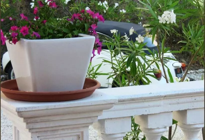 Hotelli Il Corbezzolo