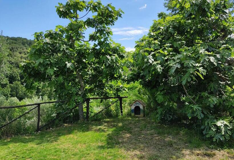 酒店 Il Corbezzolo