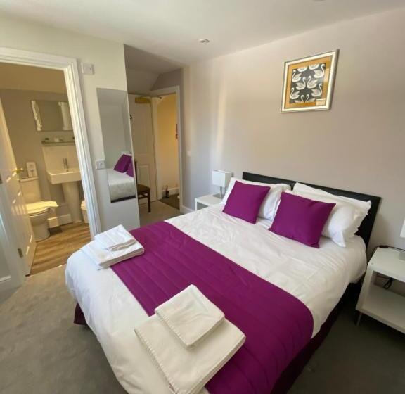 בית מלון כפרי The Swan @old Stratford