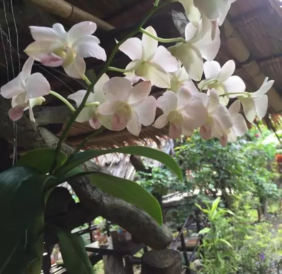 ペンション Easylife Bungalow