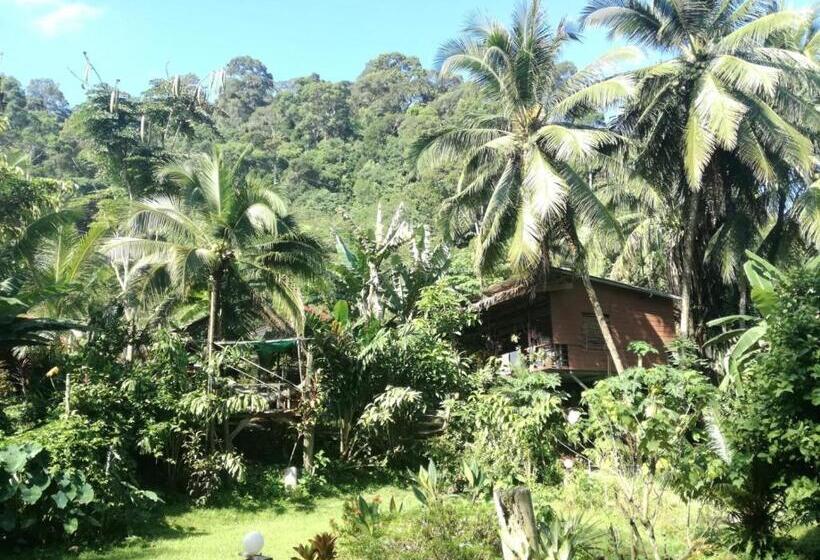 Majatalo Easylife Bungalow