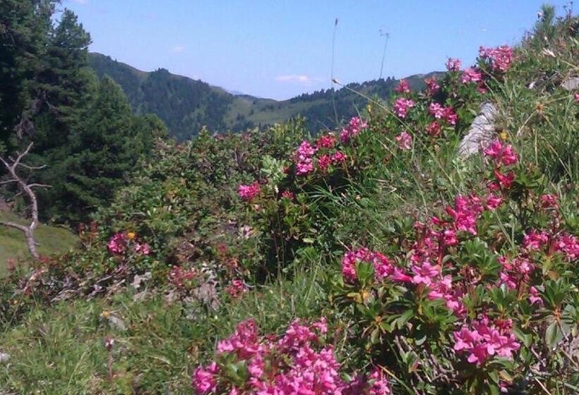 פנסיון Gästehaus Die Geislerin