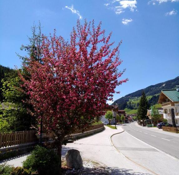 פנסיון Gästehaus Die Geislerin