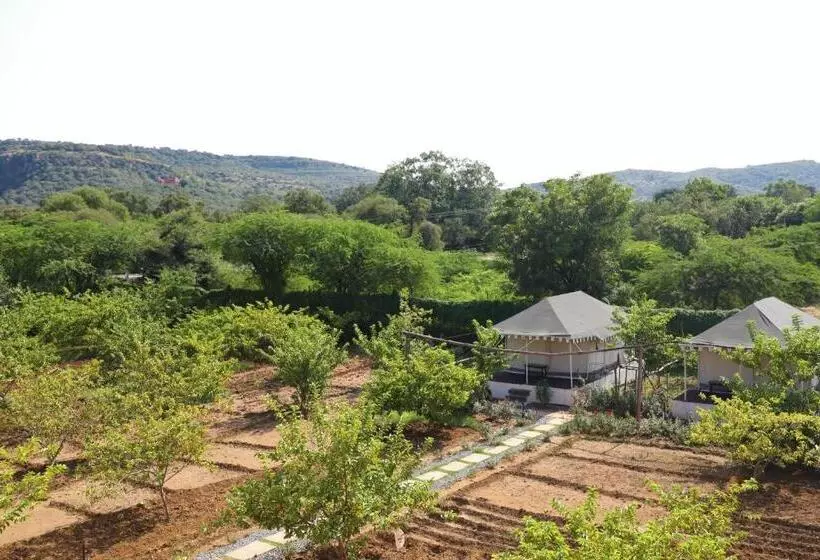 Lomakeskus Paridhi Niwas, Ranthambore  Near Tiger Safari Zones 1 5
