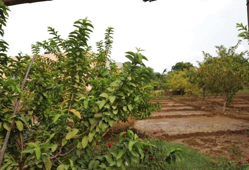 אתר נופש Paridhi Niwas, Ranthambore Near Tiger Safari Zones 1 5