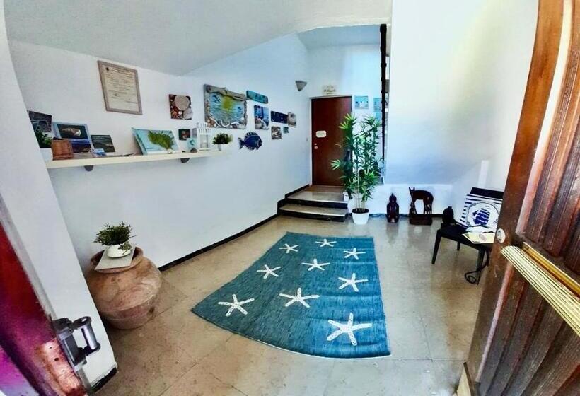 ペンション Il Poggetto Di Porto Ercole Affittacamere